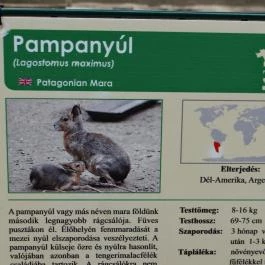 Veszprémi Állatkert Veszprém - Egyéb