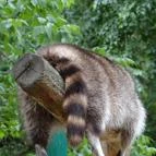 Veszprémi Állatkert Veszprém - 