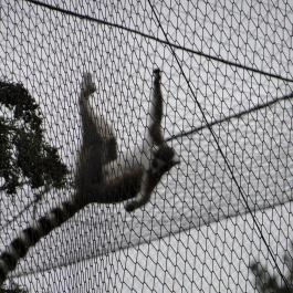 Veszprémi Állatkert Veszprém - Egyéb