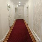 Borostyán Med Hotel Nyíradony-Tamásipuszta - Egyéb