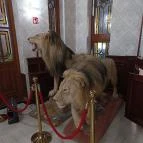 Borostyán Med Hotel Nyíradony-Tamásipuszta - Egyéb