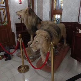 Borostyán Med Hotel, Nyíradony-Tamásipuszta - Egyéb