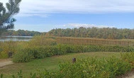 Tisza Balneum Hotel, Tiszafüred