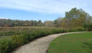 Tisza Balneum Hotel, Tiszafüred