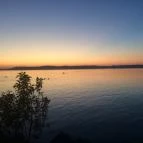 Vadvirág Kemping Balatonszemes - Környék