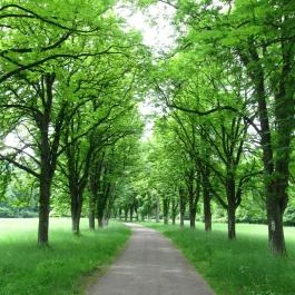 Boróka Panzió Parádfürdő - Környék