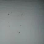 Hotel Fortuna Zalakaros - Belső