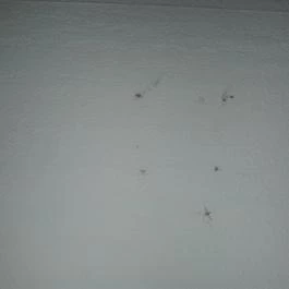 Hotel Fortuna Zalakaros - Belső