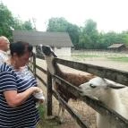 Magán Zoo Felsőlajos - 