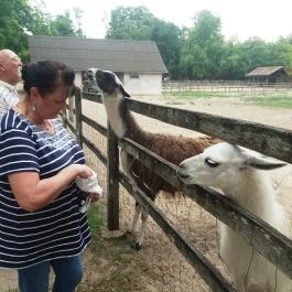 Magán Zoo, Felsőlajos - 