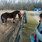 Magán Zoo Felsőlajos - 