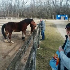 Magán Zoo, Felsőlajos - 