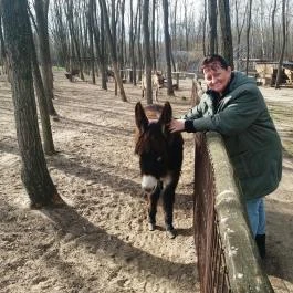 Magán Zoo Felsőlajos - Egyéb