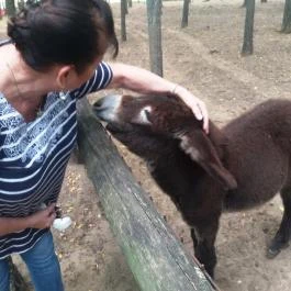 Magán Zoo, Felsőlajos - 