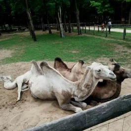 Magán Zoo, Felsőlajos - 