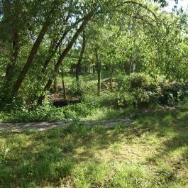 Malomkert Hotel, Nagybörzsöny - Környék