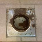 Diófa Kemping Vásárosnamény - Egyéb