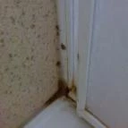 Diófa Kemping Vásárosnamény - Egyéb