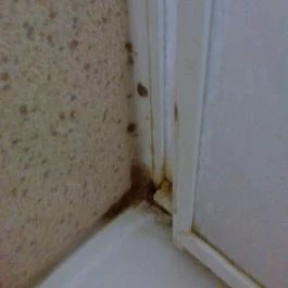 Diófa Kemping Vásárosnamény - Egyéb