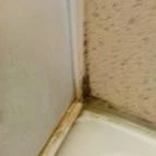 Diófa Kemping Vásárosnamény - Egyéb