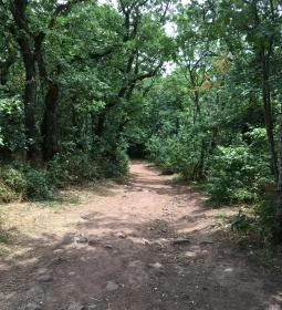 Somlyó-hegyi kilátó