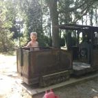 Park Hotel Balatonlelle Balatonlelle - Környék