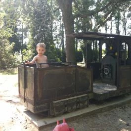 Park Hotel Balatonlelle, Balatonlelle - Környék