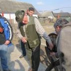 Hotel Stáció Wellness & Konferencia Vecsés - Környék