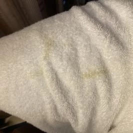 Fagus Hotel Sopron - Egyéb