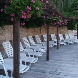 NaturMed Hotel Carbona Hévíz - Medence/kert