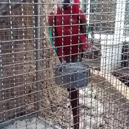 NaturMed Hotel Carbona Hévíz - Egyéb