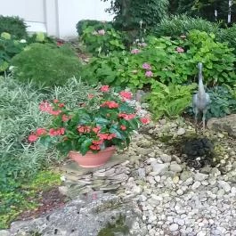 NaturMed Hotel Carbona Hévíz - Medence/kert