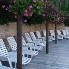 NaturMed Hotel Carbona Hévíz - Medence/kert