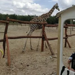Richter Safari Park Nagykőrös - Belső