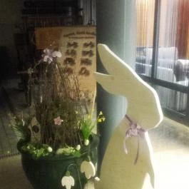 Hotel Eger & Park Eger - Egyéb