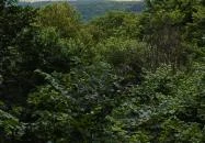 Írottkő Natúrpark Kőszeg