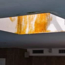 Echo Residence All Suite Hotel Tihany - Egyéb