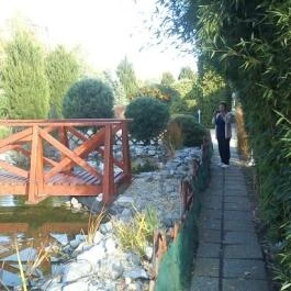 Rajna Apartman Bogács - Környék