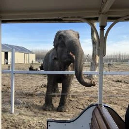 Richter Safari Park Nagykőrös - Egyéb