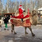 Richter Safari Park Nagykőrös - Egyéb