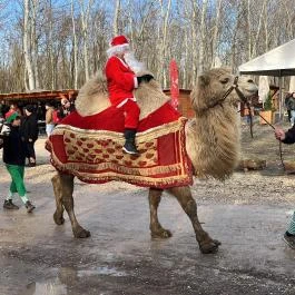 Richter Safari Park Nagykőrös - Egyéb