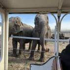 Richter Safari Park Nagykőrös - Egyéb