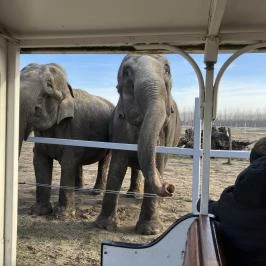 Richter Safari Park Nagykőrös - Egyéb