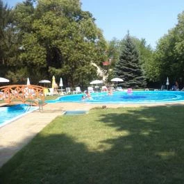 Wellness Hotel Szindbád Balatonszemes - Medence/kert