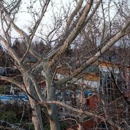 Hotel Azúr Siófok - Környék