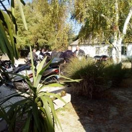 Tassi Halászcsárda, Tass - Egyéb