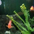 Palacsintavár Eger - Belső