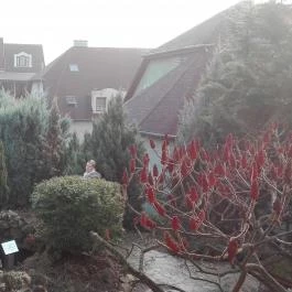 Szent István Hotel Eger - Környék