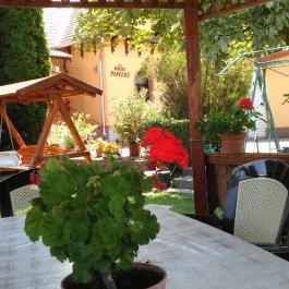 Hegyi Panzió Szilvásvárad - Medence/kert