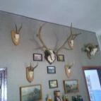 Oláh Vendégház Hortobágy - Belső